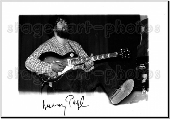 Harry Pepl (Austria Drei)